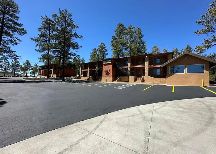 Motel In The Pines
